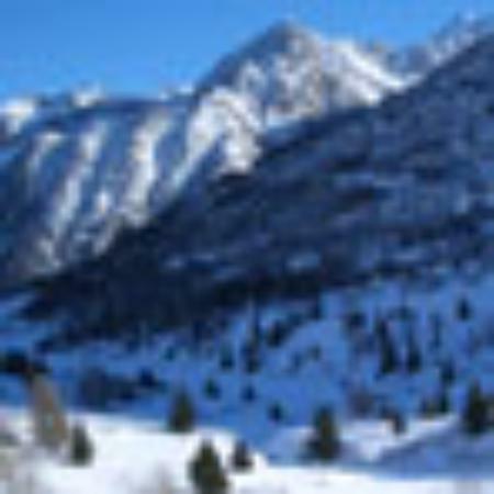 Numeral Eight Curry House